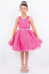 Big Girls Multi Color Glitter Mesh V Neck Short Dress 4-16